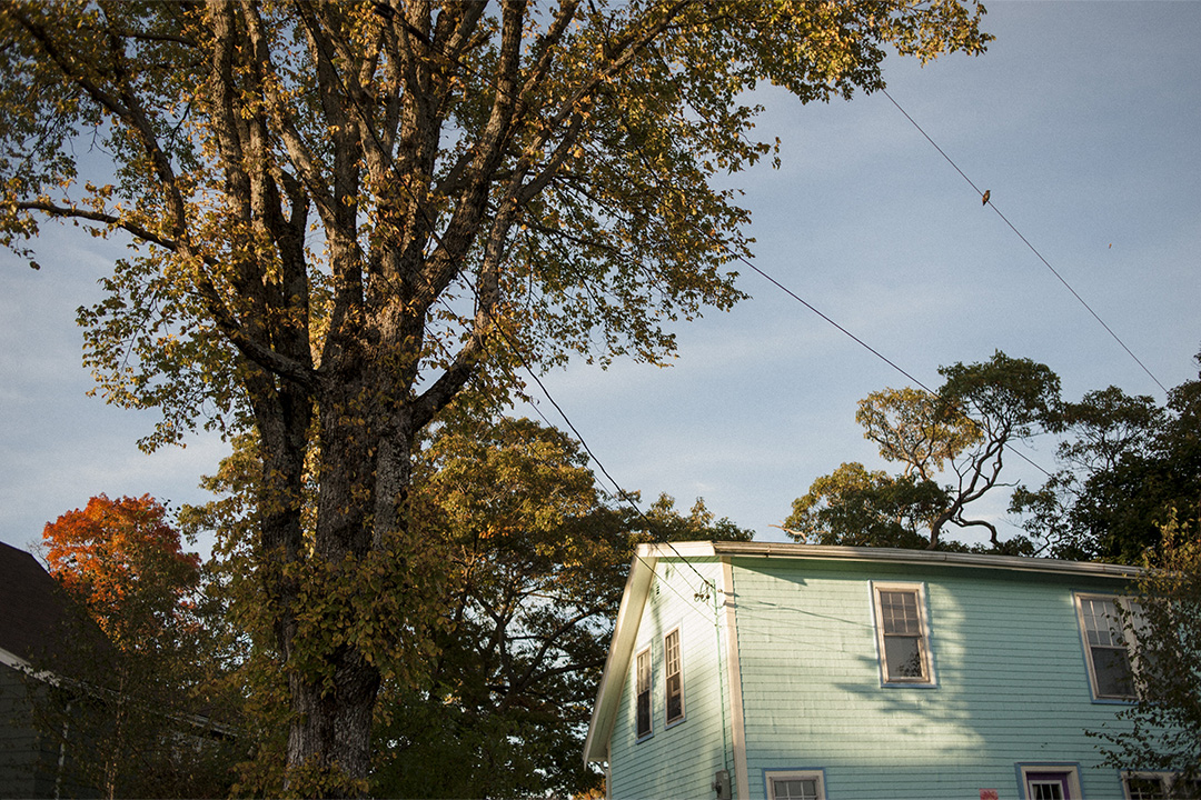 Arkells in Camden, London, 2012